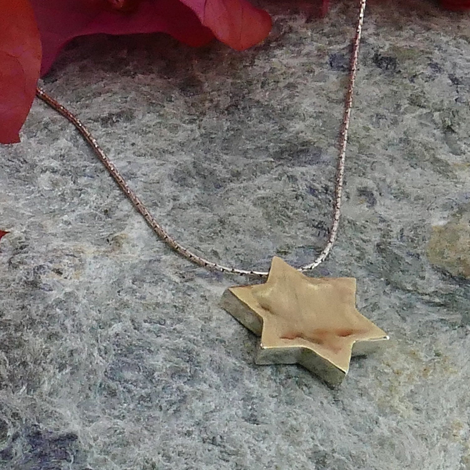 Timeless Fusion: Elegant Two-Tone Star David Necklace