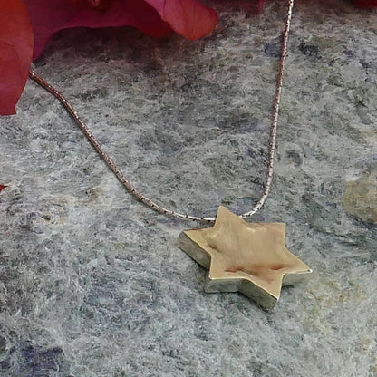 Timeless Fusion: Elegant Two-Tone Star David Necklace