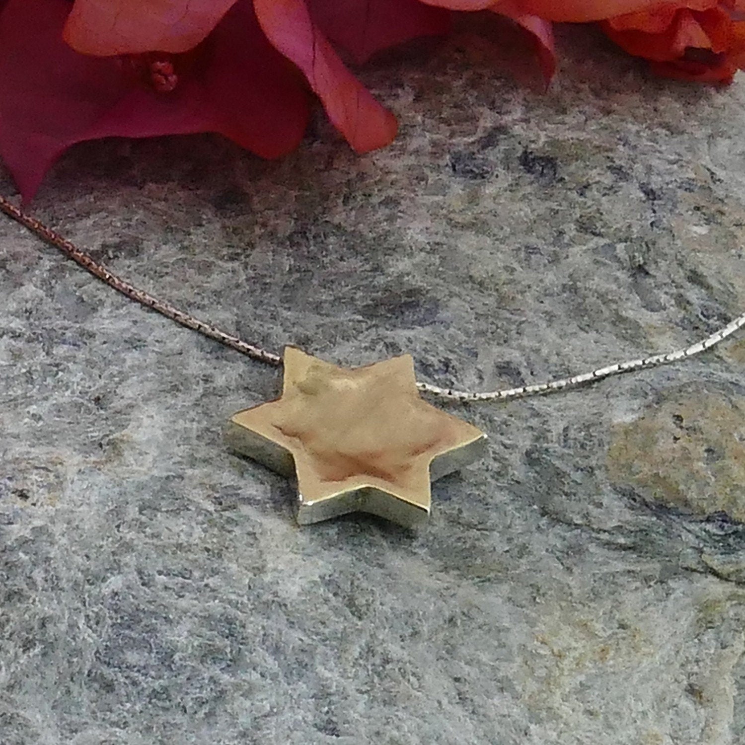 Timeless Fusion: Elegant Two-Tone Star David Necklace